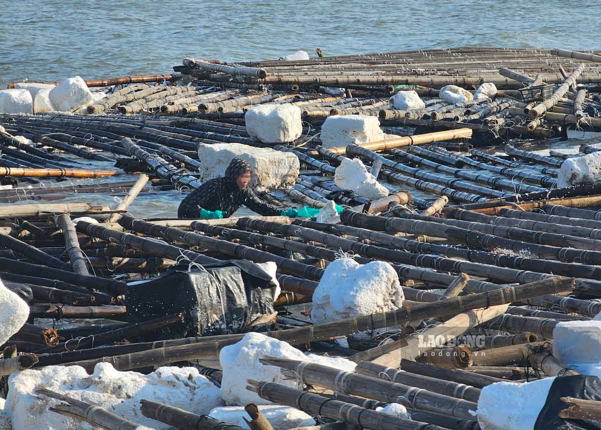 Rác thải là các lồng bè nuôi trồng thủy sản hư hỏng trôi nổi tại vùng biển khu du lịch Tuần Châu, TP Hạ Long. Ảnh: Đoàn Hưng