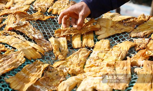 Để có những miếng măng khô vàng óng đẹp mắt và thơm ngon, từ nguyên liệu măng rừng phải trải qua một quá trình chế biến rất công phu. Ảnh: Quang Đạt