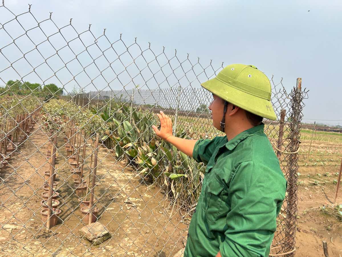 Anh Le Van Ca dung nhin tai san phai vut di sau tran bao Yaghi. Anh: Luong Hanh 