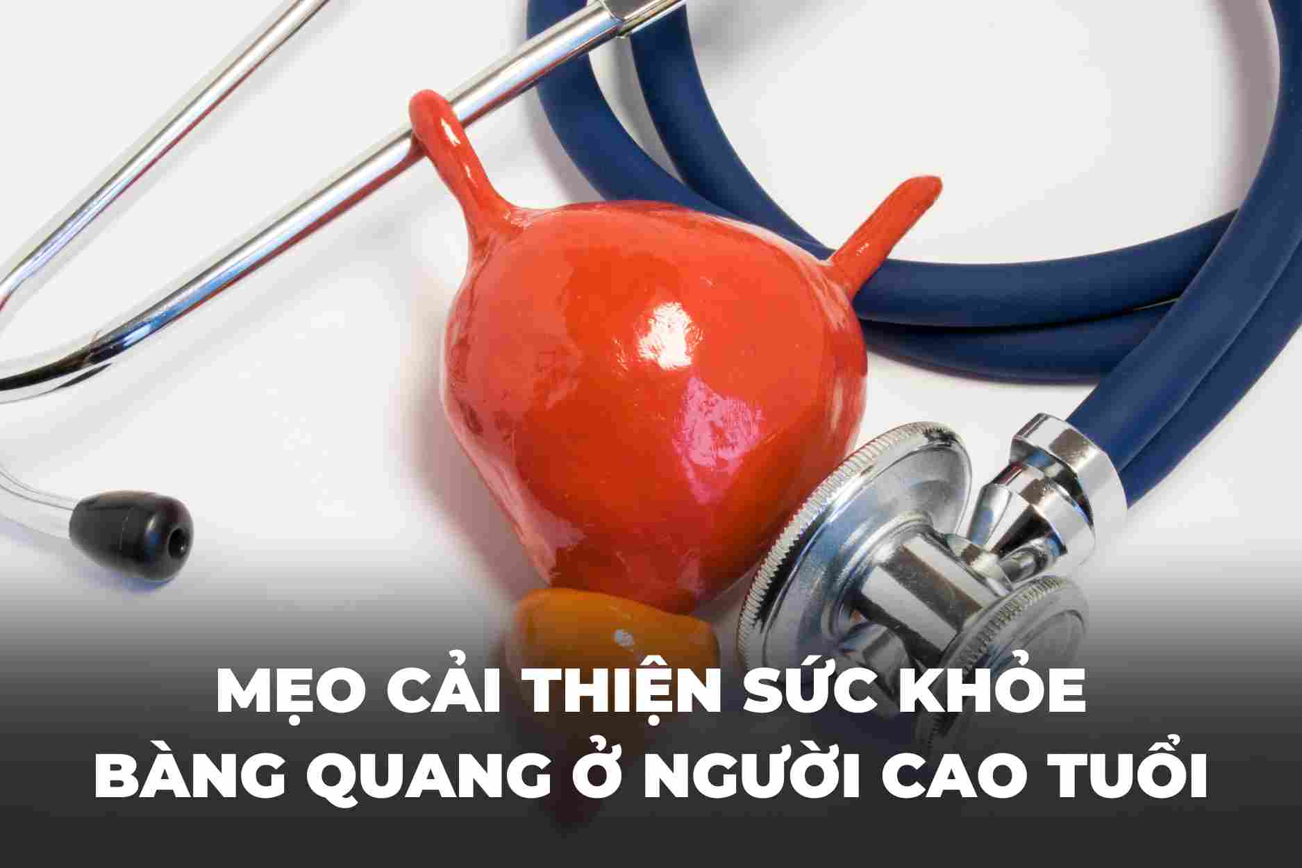 Mẹo cải thiện sức khỏe bàng quang ở người cao tuổi
