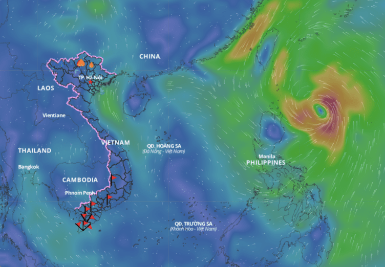 The storm forecast in the Northwest Pacific region will not enter the East Sea. Above is the wind direction layer updated at 11am on September 28. Photo: Vietnam Natural Disaster Monitoring System