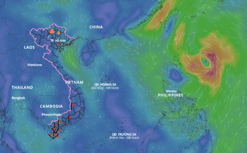 The storm forecast in the Northwest Pacific region will not enter the East Sea. Above is the wind direction layer updated at 11am on September 28. Photo: Vietnam Natural Disaster Monitoring System