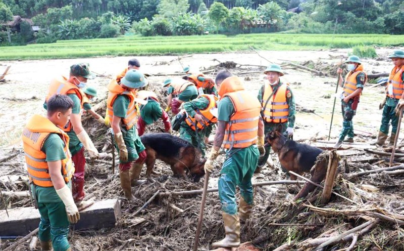 Border guards and sniffer dogs search for victims in Lang Nu, Lao Cai. Photo: VGP