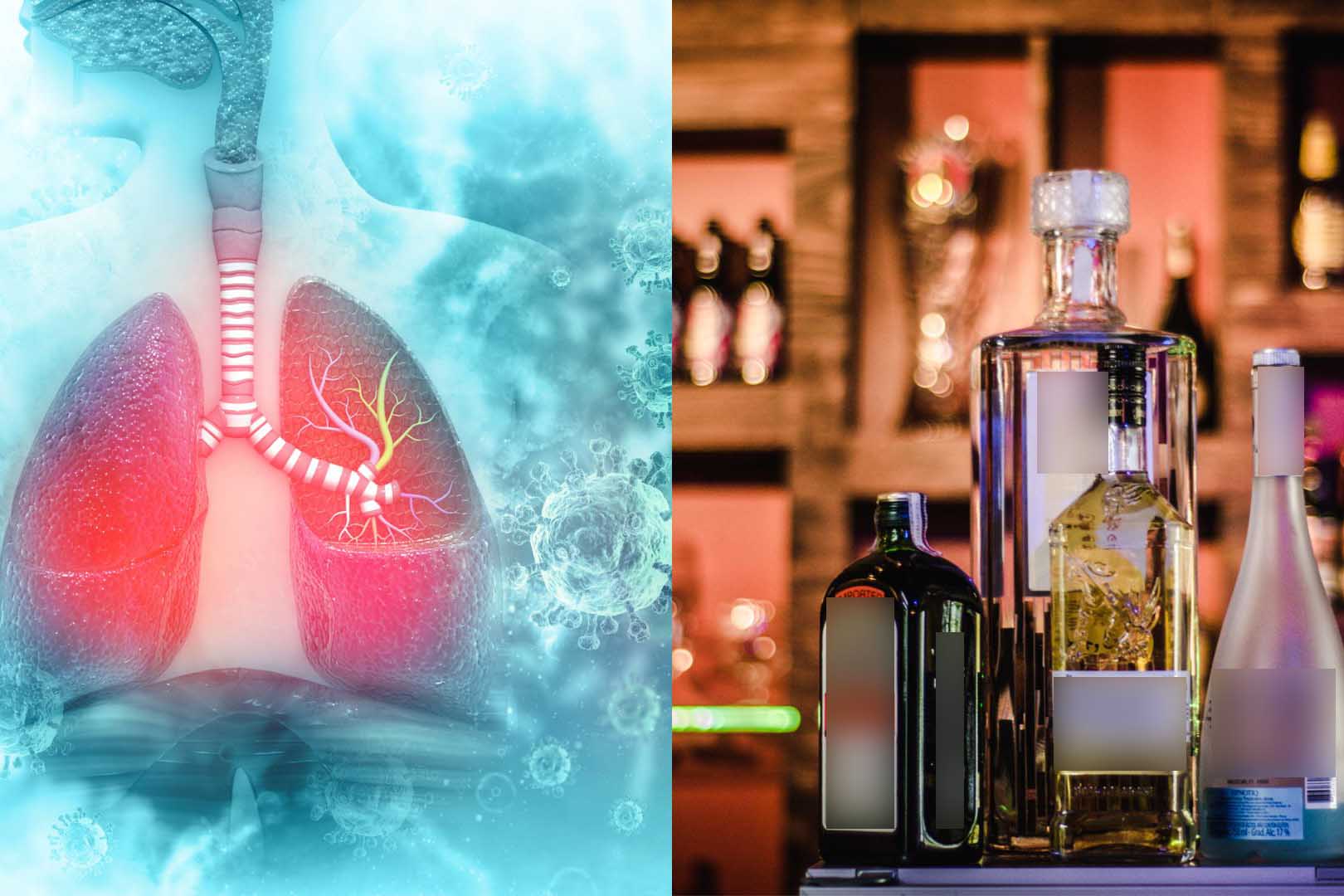 How does alcohol affect the lungs?