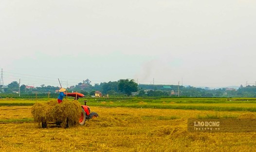 Theo Luật Đất đai 2024, người dân được đền bù đất nông nghiệp cũng sẽ được hưởng thêm một số khoản chi phí. Ảnh: Tuyết Lan