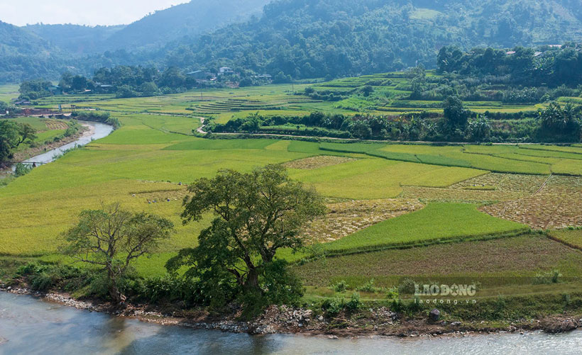 Ben canh san xuat theo canh dong mot giong, xa Muong Vi cung dang tuyen truyen, huong dan nguoi dan san xuat theo huong huu co, dam bao an toan, nang cao gia tri va dam bao ben vung cho san pham nong nghiep dia phuong. Anh: An Vi