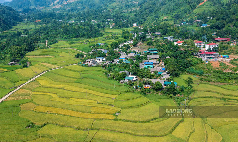 Muong Vi nam cach trung tam huyen Bat Xat (Lao Cai) hon 20km, duoc bao boc xung quanh la nhung day nui da voi trung diep. Noi day khong chi hung vi ma con duoc thien nhien uu ai ban tang san vat noi tieng - gao Seng Cu.