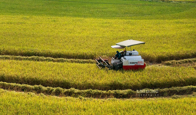 May gat lien hoan duoc dua vao su dung tai canh dong Muong Vi. 