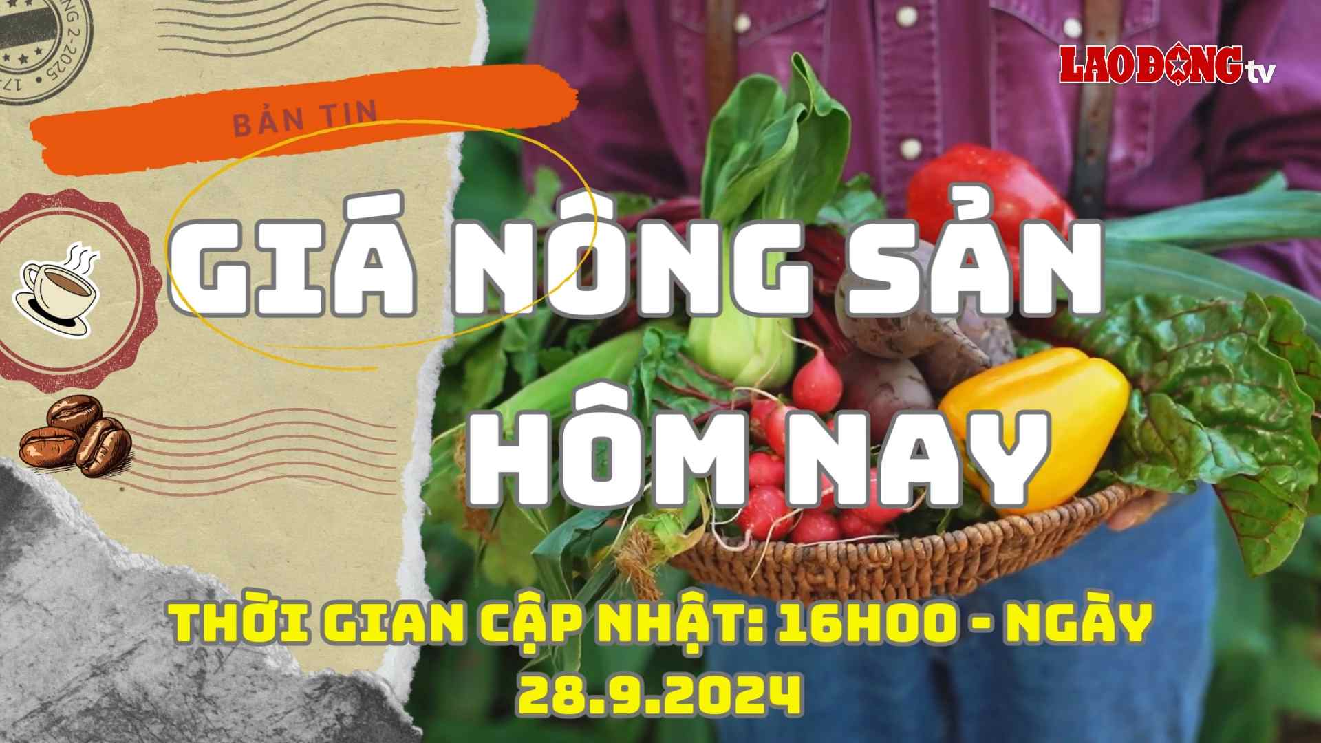 Giá nông sản hôm nay ngày 28.9.2024. Ảnh: Phan Tuấn