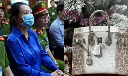 Bà Trương Mỹ Lan xin lại 2 túi Hermes bạch tạng. Ảnh: Anh Tú