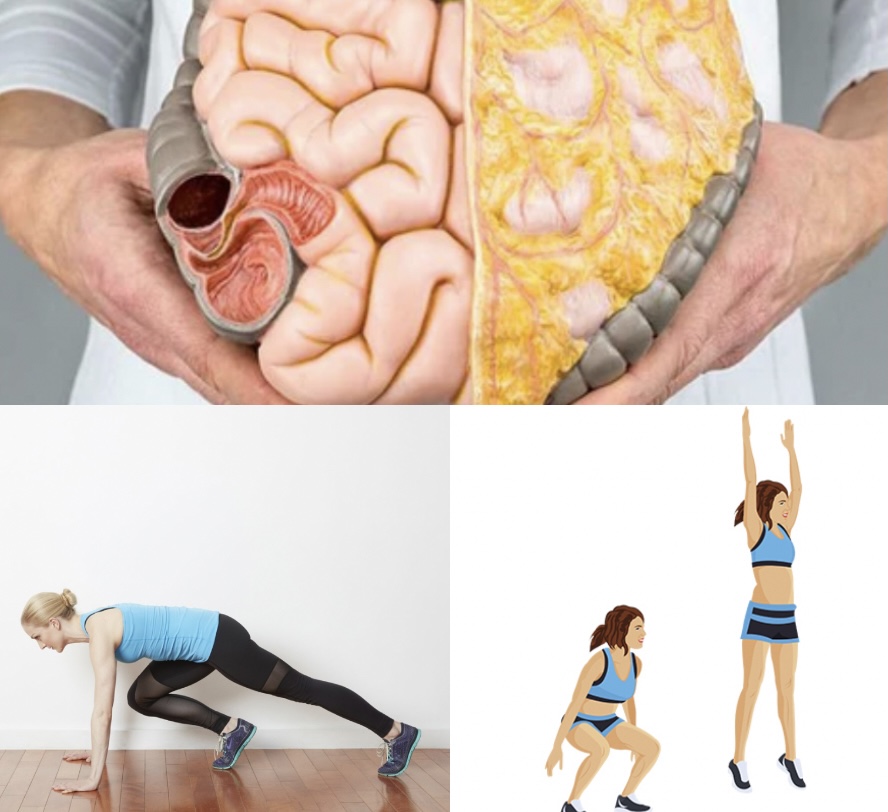 Những bài tập HIIT giúp bạn giảm mỡ nội tạng tức thì. Đồ họa: Hương Giang