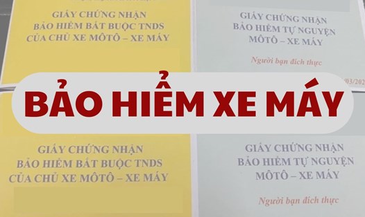 Ứng dụng VNeID phiên bản mới nhất chưa cho phép tích hợp bảo hiểm xe bắt buộc. Đồ họa: Quỳnh Anh