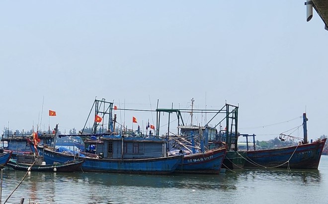 Authorities in Quang Tri province closely monitor fishing vessels and resolutely punish fishing vessels that violate IUU regulations. Photo: H.Nguyen