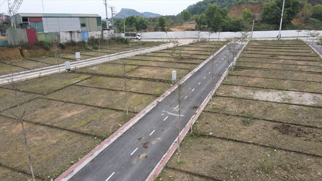 Nhiều khu đất tại Hà Nội được tách thửa, chia nhỏ ra bán cho các nhà đầu tư nhưng bỏ hoang nhiều năm nay. Ảnh: Cao Nguyên