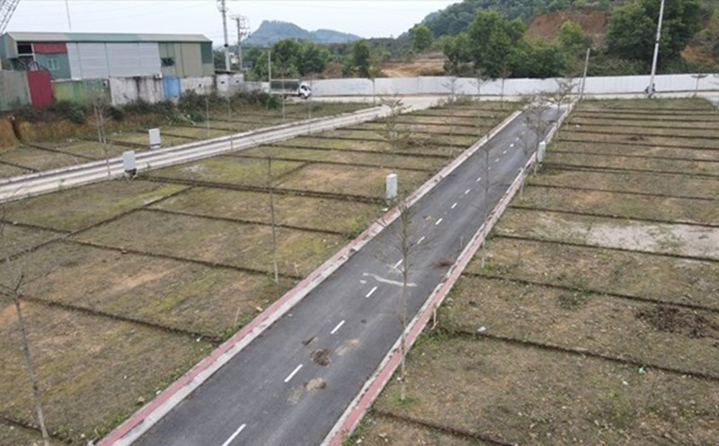 Nhiều khu đất tại Hà Nội được tách thửa, chia nhỏ ra bán cho các nhà đầu tư nhưng bỏ hoang nhiều năm nay. Ảnh: Cao Nguyên
