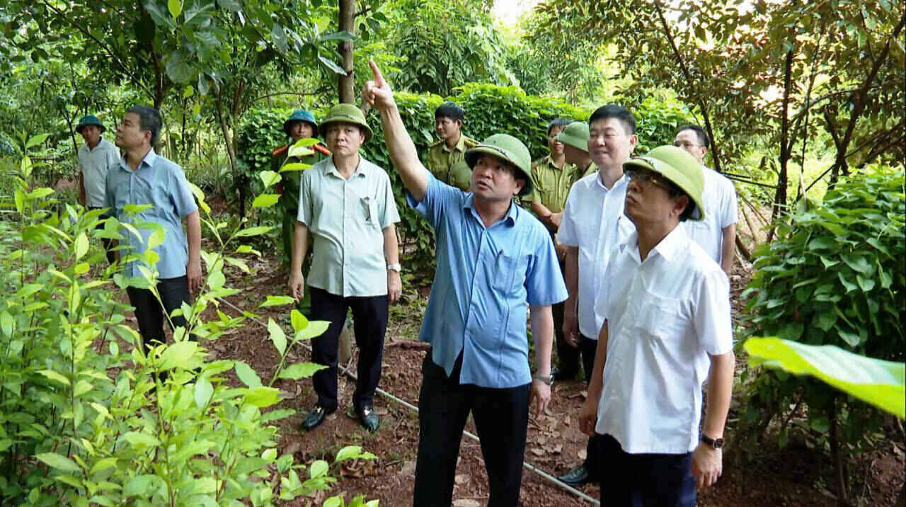 Ong Tran Song Tung - Pho chu tich UBND tinh Ninh Binh kiem tra thuc te cac vet nut tai doi Veo. Anh: Nguyen Truong