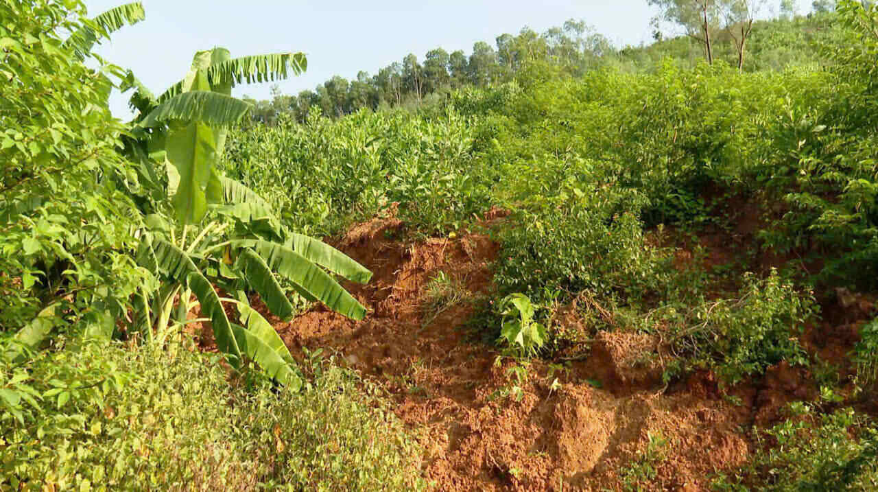 Khu vực đồi Vẽo (xã Sơn Lai, huyện Nho Quan, tỉnh Ninh Bình) xuất hiện nhiều vết nứt và có nguy cơ sạt lở. Ảnh: Nguyễn Trường