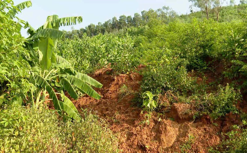 Many cracks have appeared in the Veo hill area (Son Lai commune, Nho Quan district, Ninh Binh province) and there is a risk of landslides. Photo: Nguyen Truong
