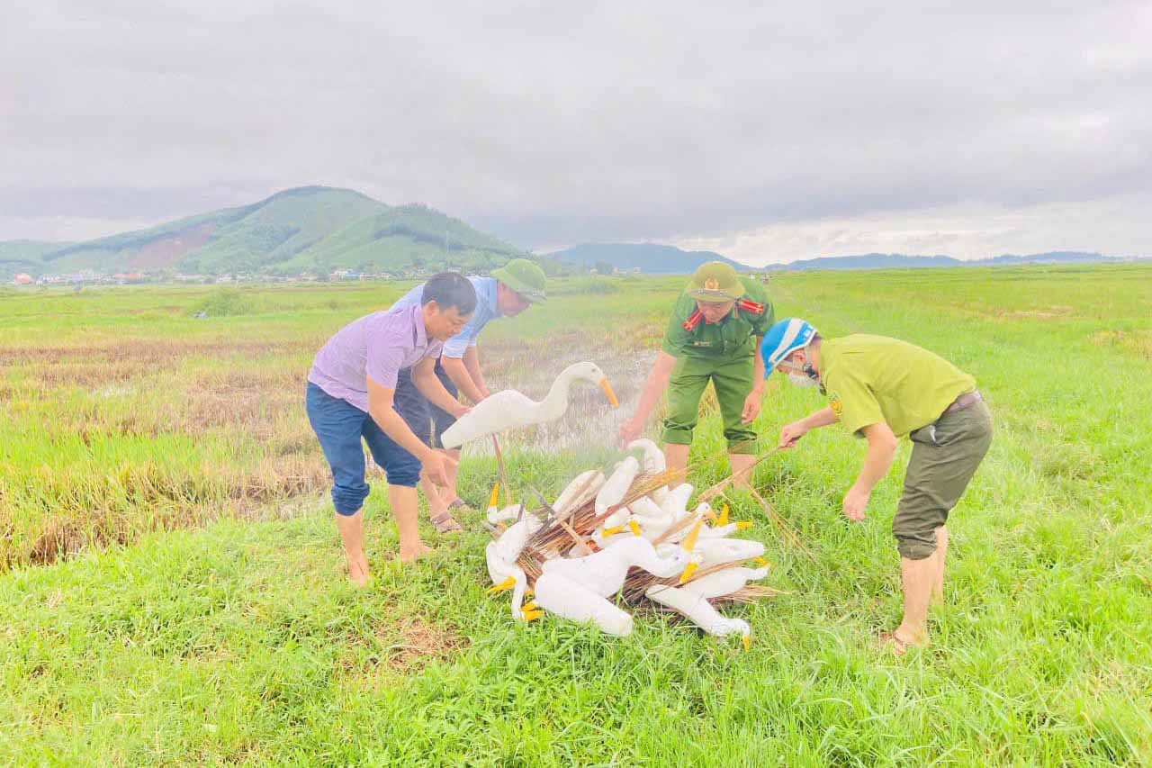 Authorities in Ky Anh district destroy fake storks and plastic sticks used to trap migratory birds. Photo: Ky Phu.