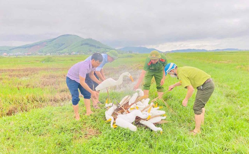 Authorities in Ky Anh district destroy fake storks and plastic sticks used to trap migratory birds. Photo: Ky Phu.