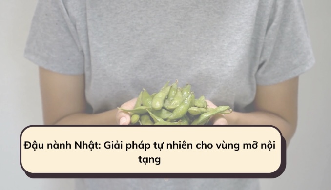 Japanese Soybeans: Natural Solution for Visceral Fat. Graphics: Huong Giang