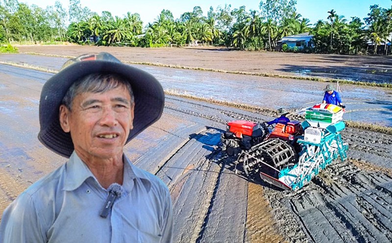 Farmers enthusiastically participate in growing high quality rice