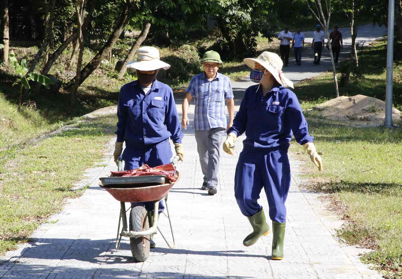 On September 3, Mr. Tran Ngoc Anh - Director of the Center for Rescue, Conservation and Development of Living Creatures said that the center is currently raising, preserving and caring for 83 animals, including many rare species listed in the Vietnam Red Book. Photo: Cong Sang