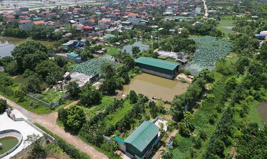 Phân khúc đất nông nghiệp đang được nhiều người dân quan tâm. Ảnh minh họa: Hữu Chánh