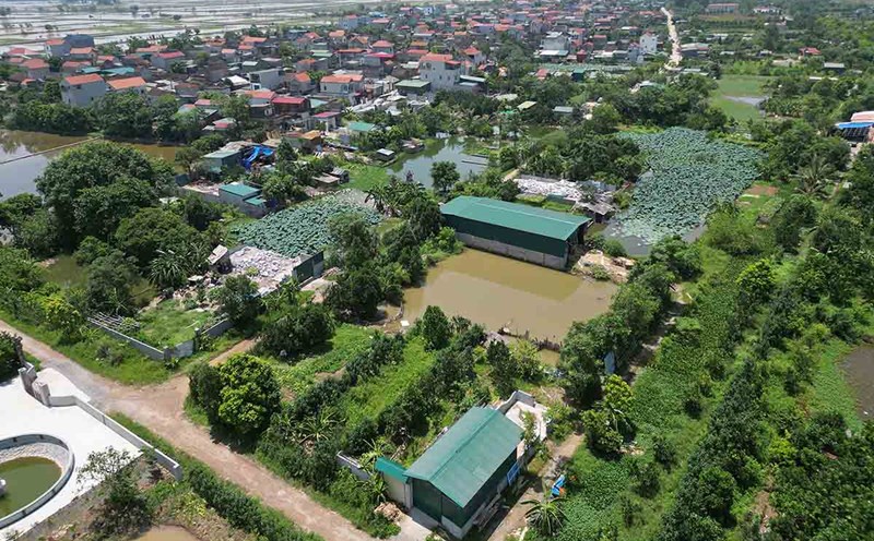 Phân khúc đất nông nghiệp đang được nhiều người dân quan tâm. Ảnh minh họa: Hữu Chánh