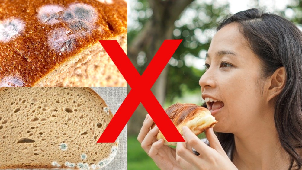 You can't cut away the moldy part of the bread and eat the fresh part. Photo: Han Lam