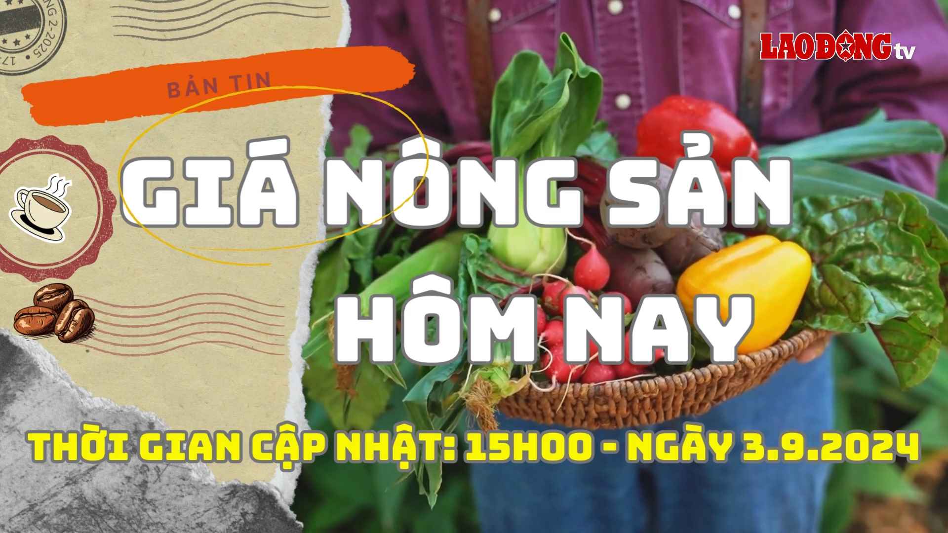 Giá nông sản hôm nay ngày 3.9.2024. Ảnh: Phan Tuấn