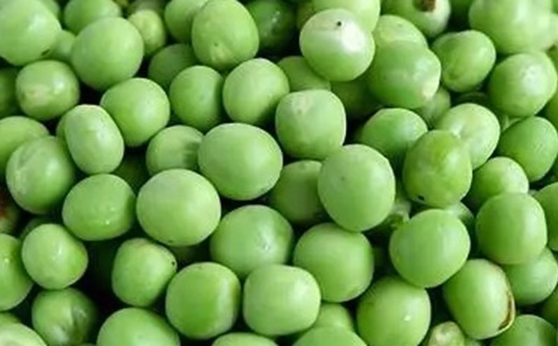 Đậu Hà Lan là một trong những thực phẩm trong chế độ ăn hỗ trợ hạ đường huyết. Ảnh: Phạm Minh