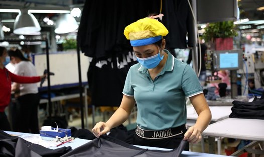 Doanh nghiệp kín đơn hàng, xuất khẩu nhiều mặt hàng chủ lực khởi sắc. Ảnh: Cường Ngô