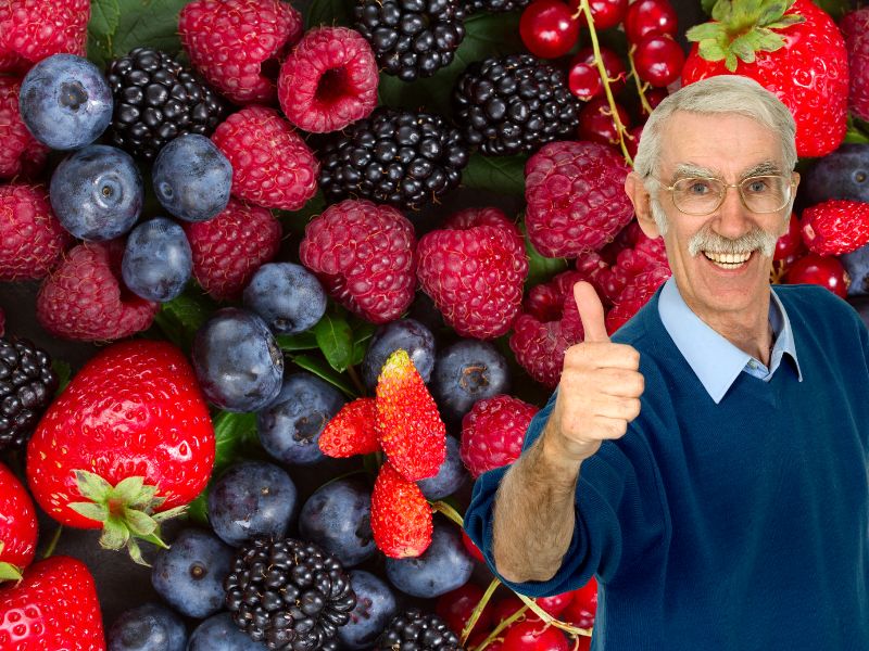 Bổ sung quả mọng vào chế độ ăn uống giúp kéo dài tuổi thọ ở người trên 60 tuổi. Đồ họa: Hạ Mây