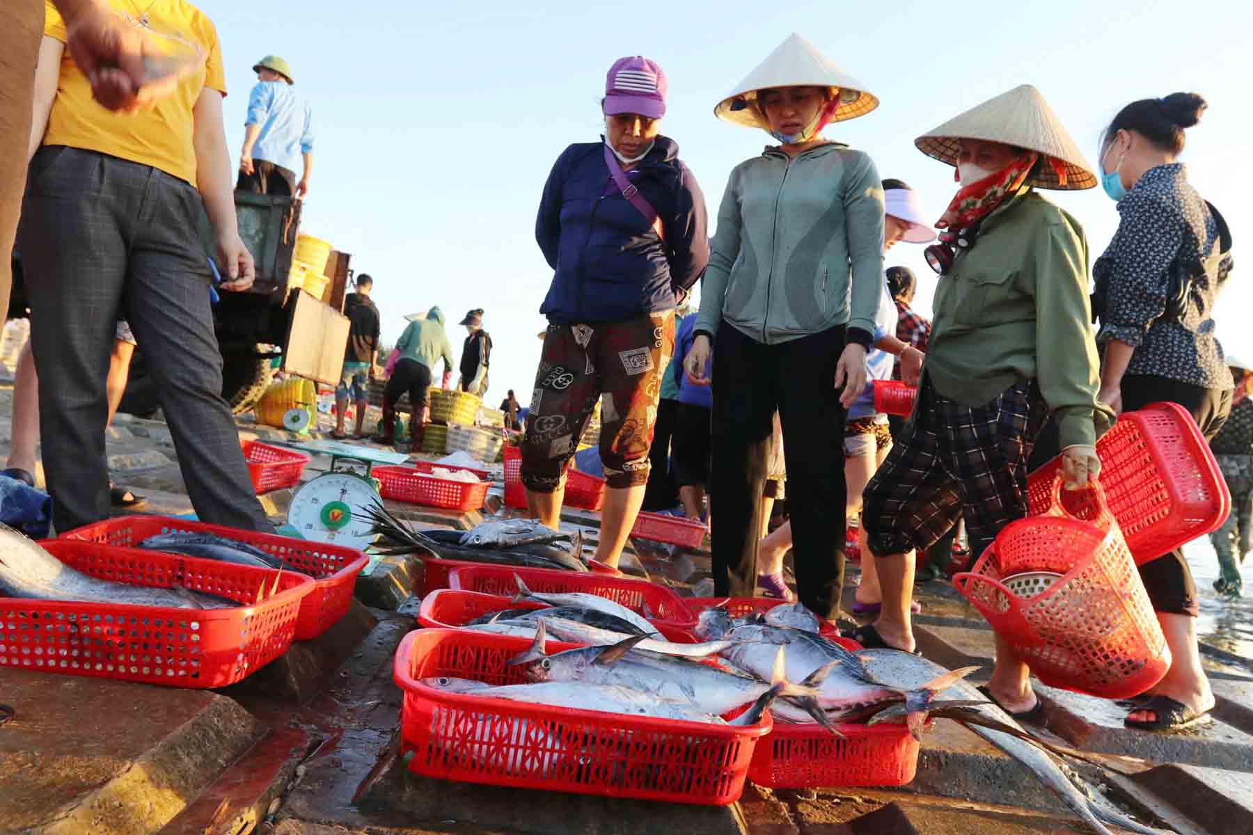 Cảnh mua bán hải sản. Ảnh: Trần Tuấn.