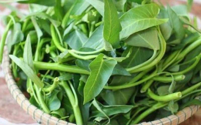 Water spinach is rich in nutrients, but the type that grows underwater is prone to containing intestinal flukes. Photo: Phuong Anh