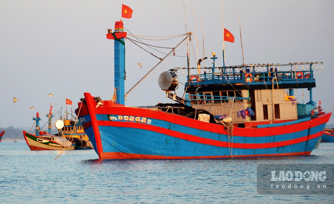 The entire Binh Chau commune, Binh Son district, Quang Ngai province has about 480 offshore fishing boats, with about 9,000 people making a living from seafaring, accounting for two-thirds of the local population. Photo: Vien Nguyen