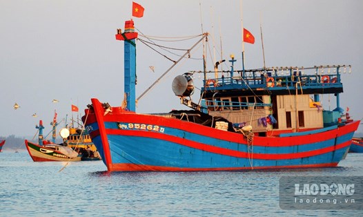 Toàn xã Bình Châu, huyện Bình Sơn, tỉnh Quảng Ngãi có khoảng 480 tàu cá đánh bắt hải sản xa bờ, với khoảng 9.000 người sinh sống bằng nghề đi biển, chiếm 2/3 dân số địa phương. Ảnh: Viên Nguyễn