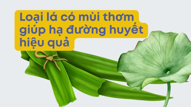Some aromatic leaves help lower blood sugar. Photo collage: HUONG SON