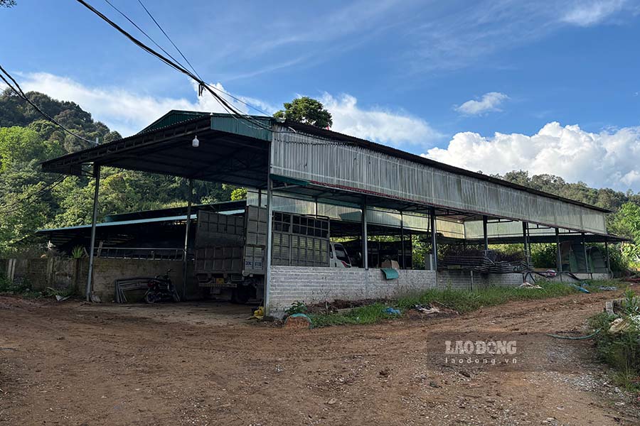 Trang trại nuôi trùn quế của anh Trịnh Văn Khỏe tại bản Cang, xã Mường Phăng, TP Điện Biên Phủ. Ảnh: Quang Đạt