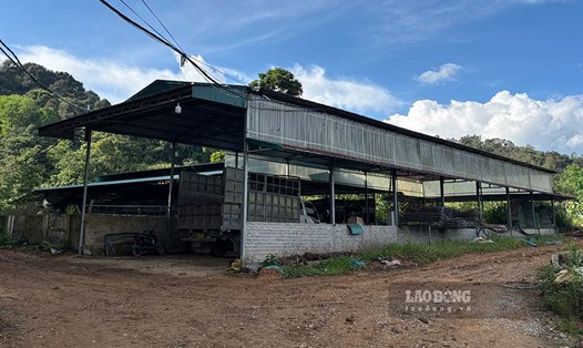 Trang trại nuôi trùn quế của anh Trịnh Văn Khỏe tại bản Cang, xã Mường Phăng, TP Điện Biên Phủ. Ảnh: Quang Đạt