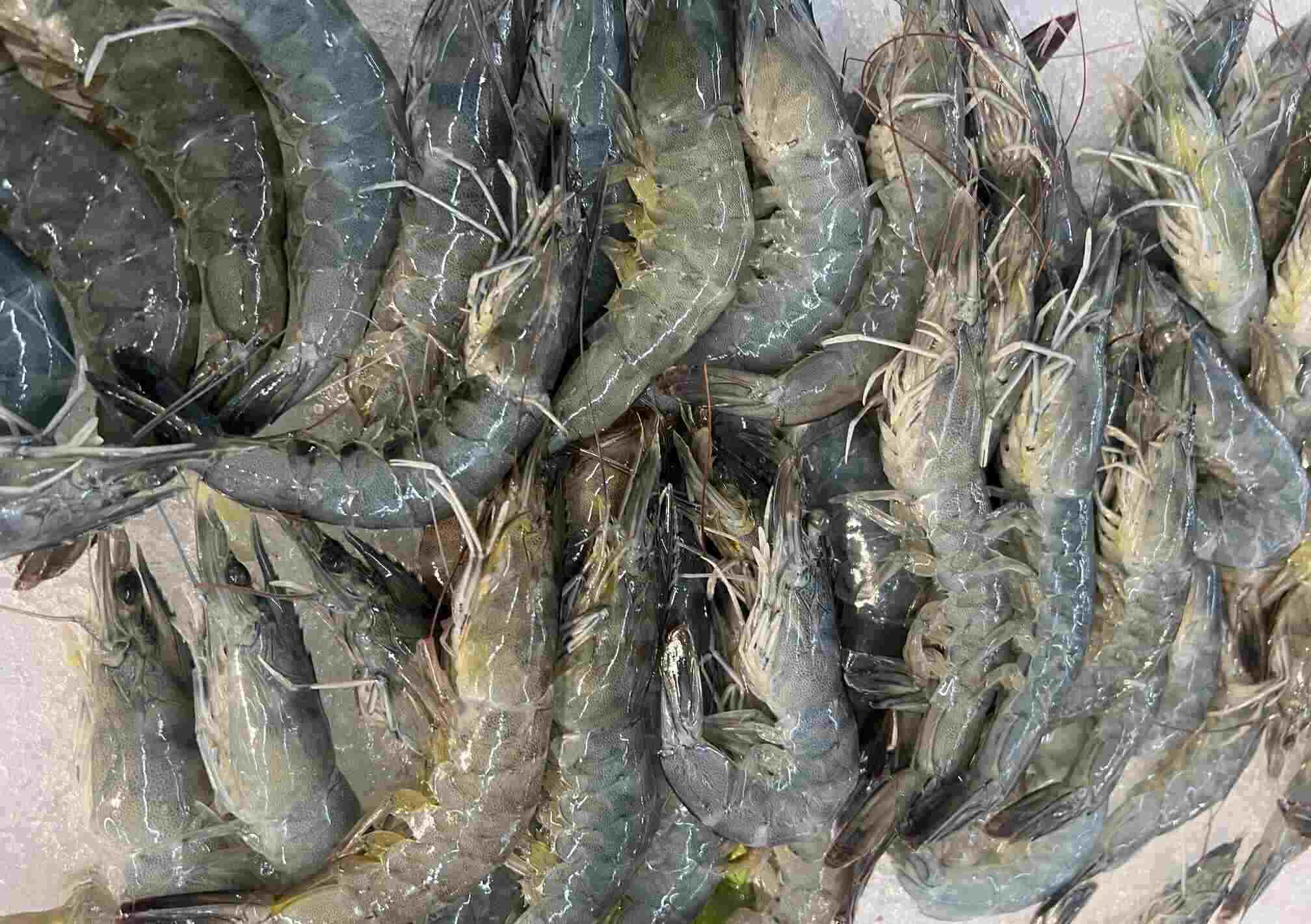 Instant noodles should be cooked with protein-rich foods such as shrimp and green vegetables to limit negative effects on diabetes. Photo: Kieu Vu