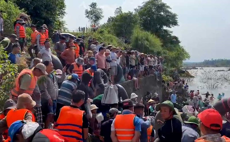 Hundreds of people flocked to Tri An Hydropower Plant to catch giant fish. Photo: HAC
