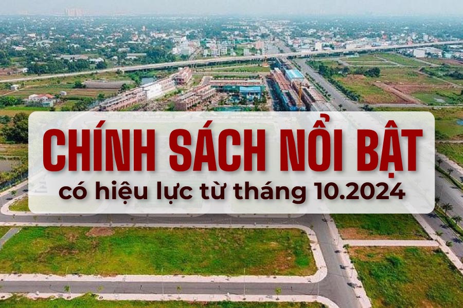 Notable new policies effective from October 2024