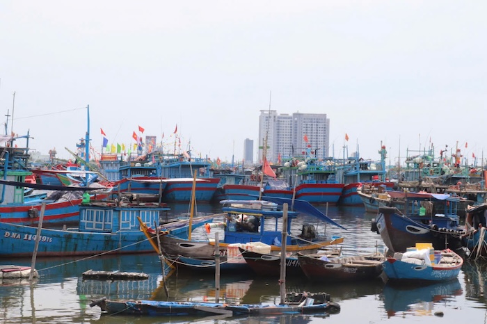 Renovation of the drainage system of a large fishery center in Da Nang. Photo: Nguyen Linh