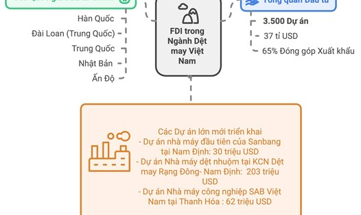 Các dự án FDI tại Việt Nam trong lĩnh vực dệt may. Đồ họa: Hà Anh