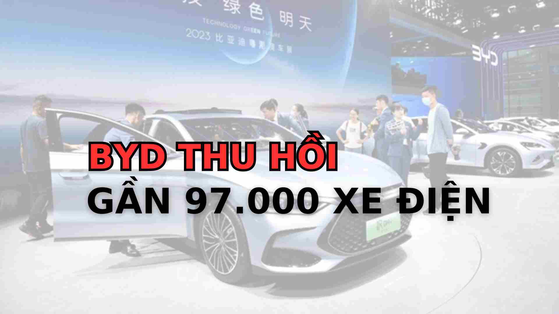  BYD đang thu hồi các xe điện Dolphin và Yuan Plus do lỗi sản xuất. Đồ họa: Minh Quân