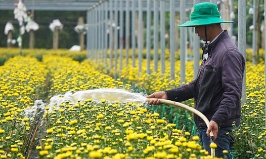 TP Đà Nẵng đổi mới đào tạo nghề cho lao động nông thôn. Ảnh: Thùy Trang