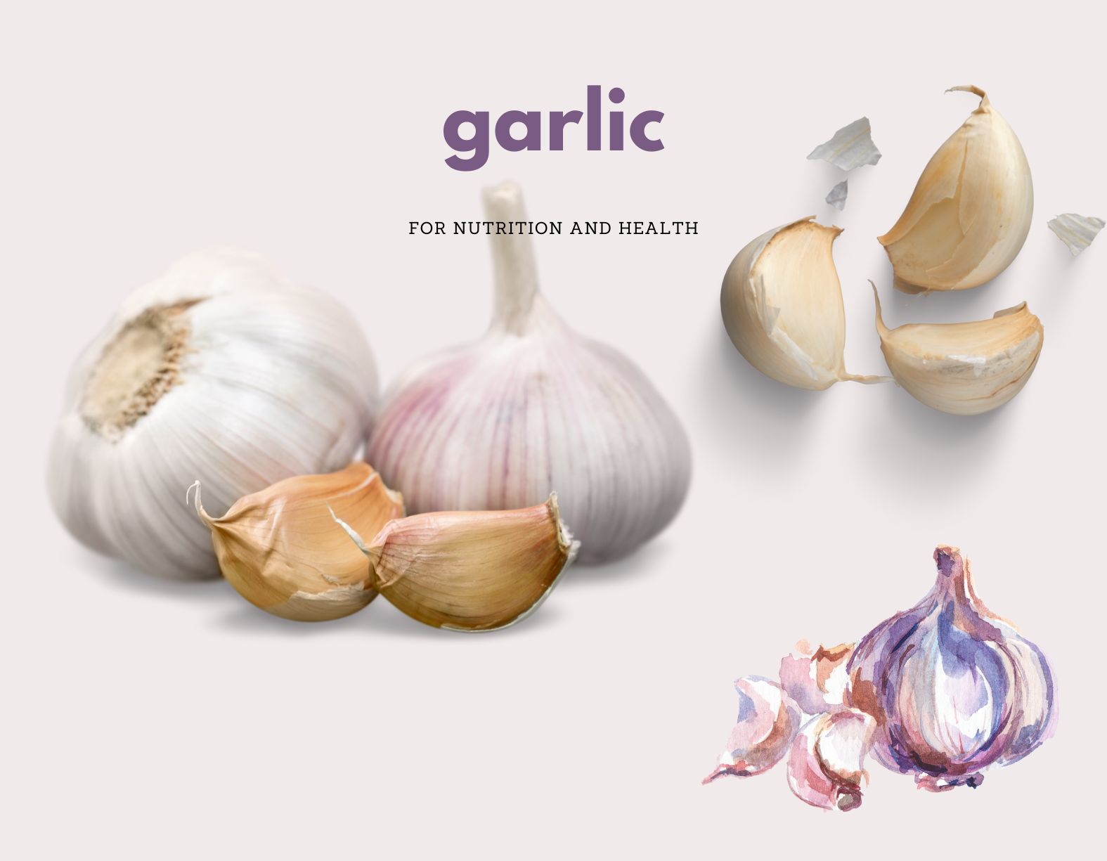 Garlic is one of the miracle drugs of traditional medicine. Graphics: Huong Giang