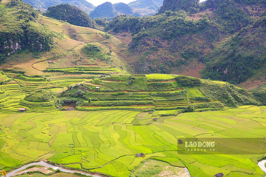 Đặc biệt, “đồi con Rùa” nằm giữa lòng cánh đồng Chiếu Tính càng làm tăng thêm vẻ độc đáo và huyền bí. Đây cũng là điểm check-in lý tưởng không thể bỏ lỡ của du khách khi tới đây.